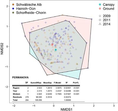 Vertical Stratification of Insect Species Developing in Water-Filled Tree Holes